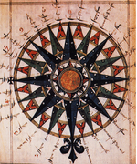 Cynthia Skenazi headshot